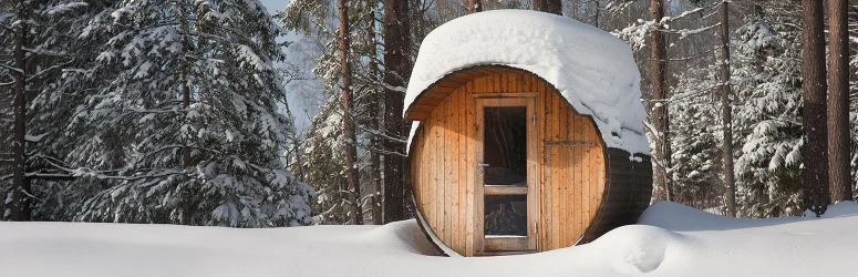 –25 °C protokols āra saunām: apkures un dzesēšanas grafiki ekstremāla aukstuma gadījumā