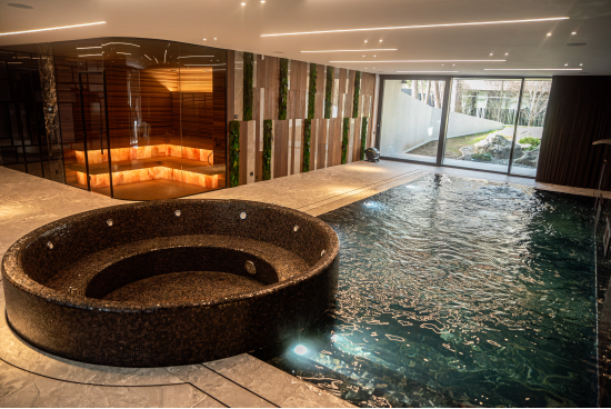 Privāta infrasarkanās saunas un peldbaseina projekts - Citi projekti