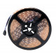 Sauflex 5050 LED RGB lentes