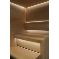 Taive dibena modulis 