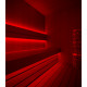 Sauflex 5050 LED RGB lentes