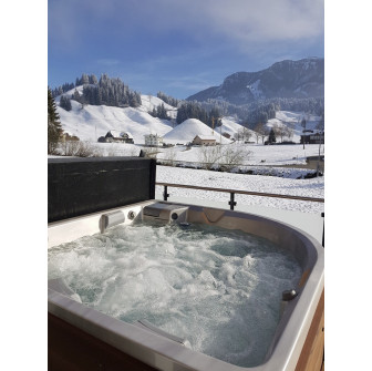 Peldēšanas spa baseins - USSPA Taurus iN