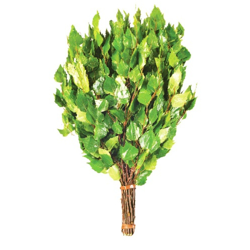 Bērza slotiņa ar garšaugiem