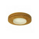 CARRIITI griestu lampa SCA