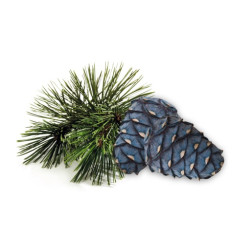 HARVIA pirts smaržu koncentrāts, arollas priede 1 l 