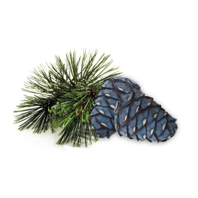 HARVIA pirts smaržu koncentrāts, arollas priede 1 l