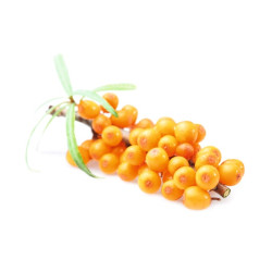 HARVIA pirts smaržu koncentrāts, smiltsērkšķi 1 l 