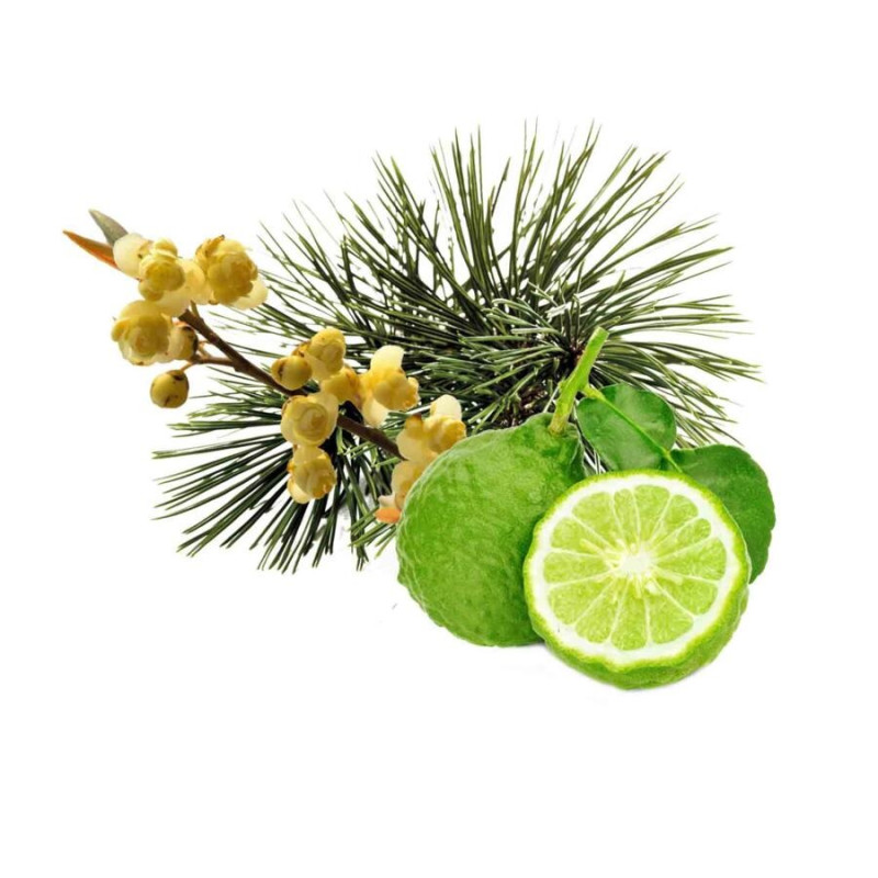 HARVIA pirts smaržu koncentrāts, arola priede, bergamote un litsea cubeba 1 l