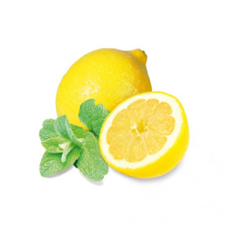 HARVIA pirts smaržu koncentrāts, piparmētra un citrons 1 l