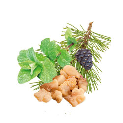 HARVIA pirts smaržu koncentrāts, piparmētra, priede, vīraks un mirre 1 l 