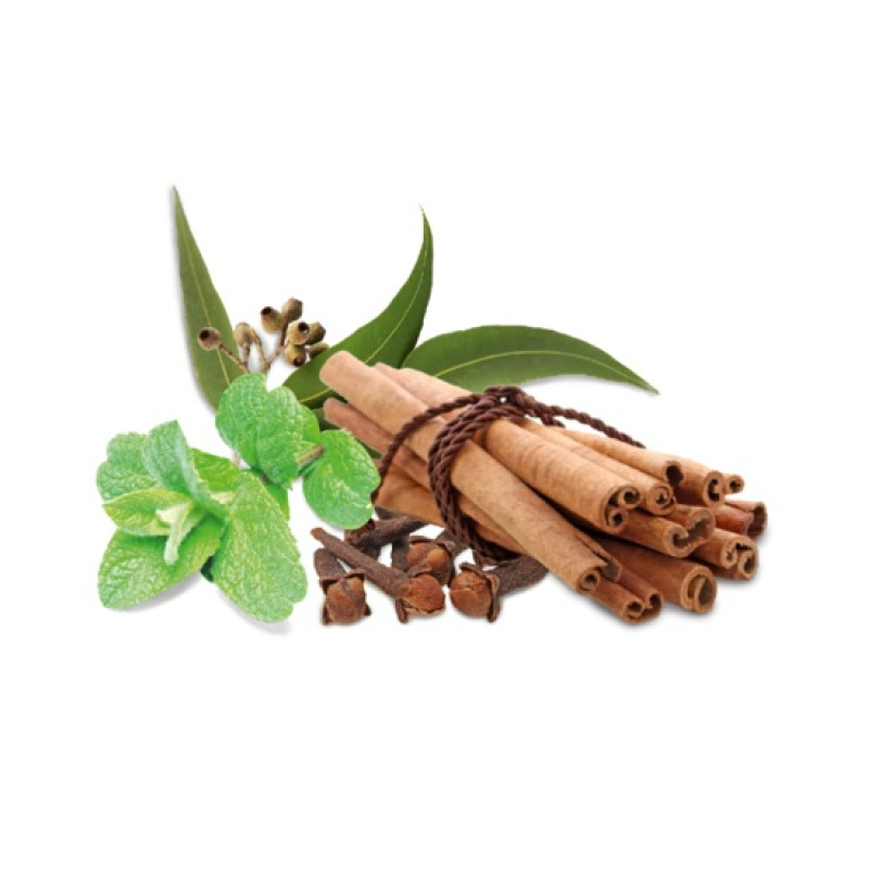 HARVIA pirts smaržu koncentrāts, garšvielas un piparmētra 1 l