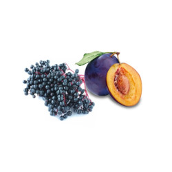 HARVIA pirts smaržu koncentrāts, plūškoka un plūmes 1 l 