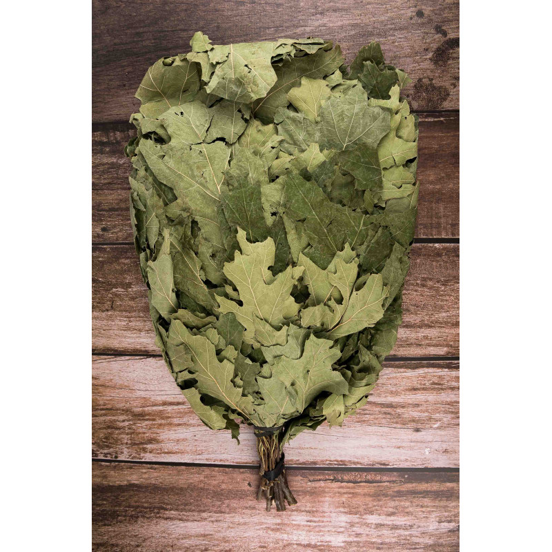 Kanādas ozola slota